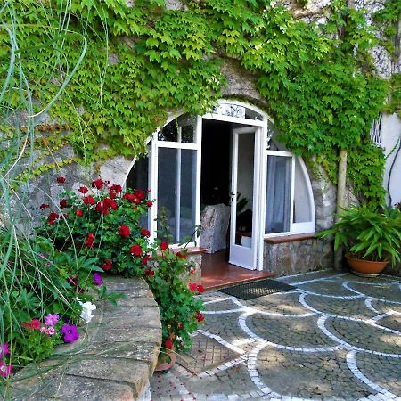 Villa Le Olivine Sorrento Kültér fotó