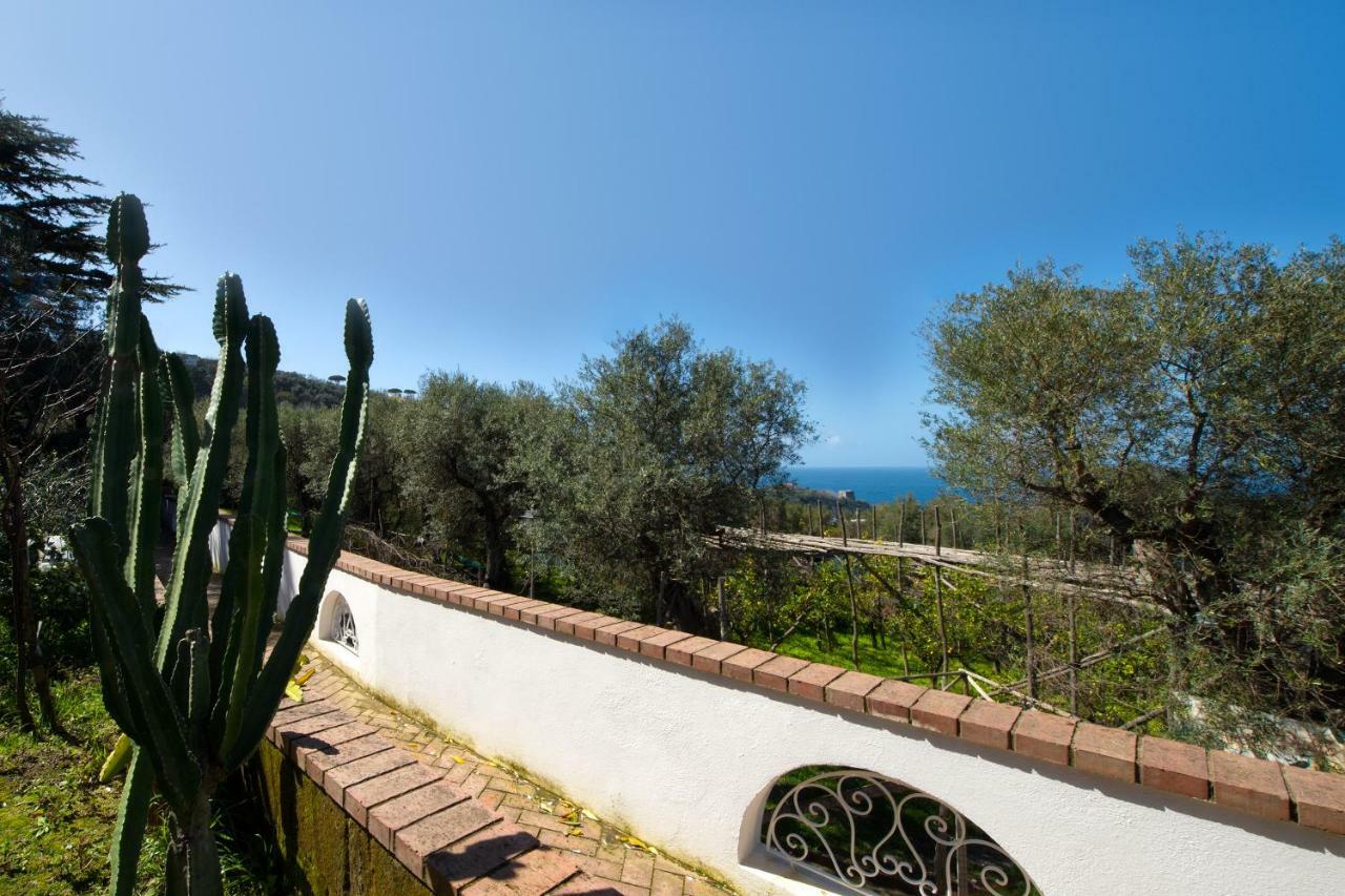 Villa Le Olivine Sorrento Kültér fotó