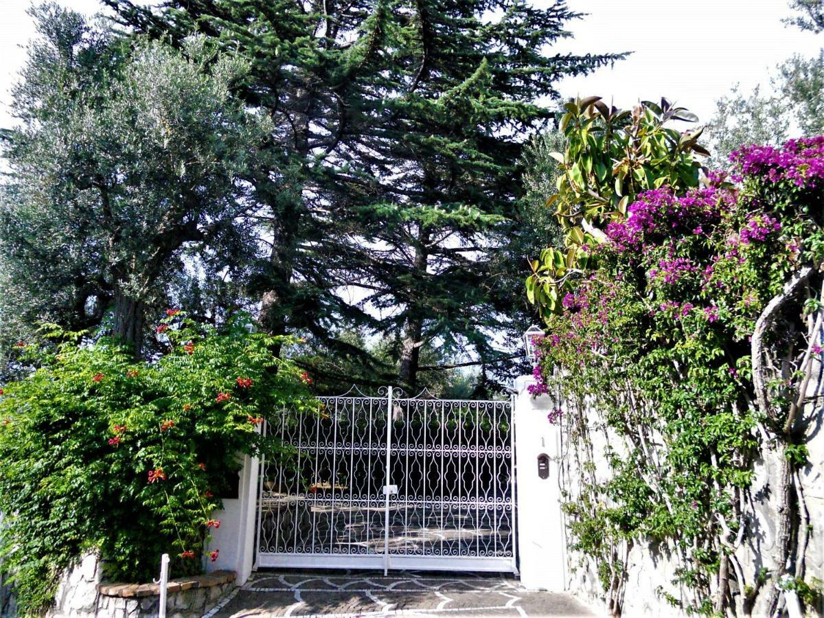 Villa Le Olivine Sorrento Kültér fotó