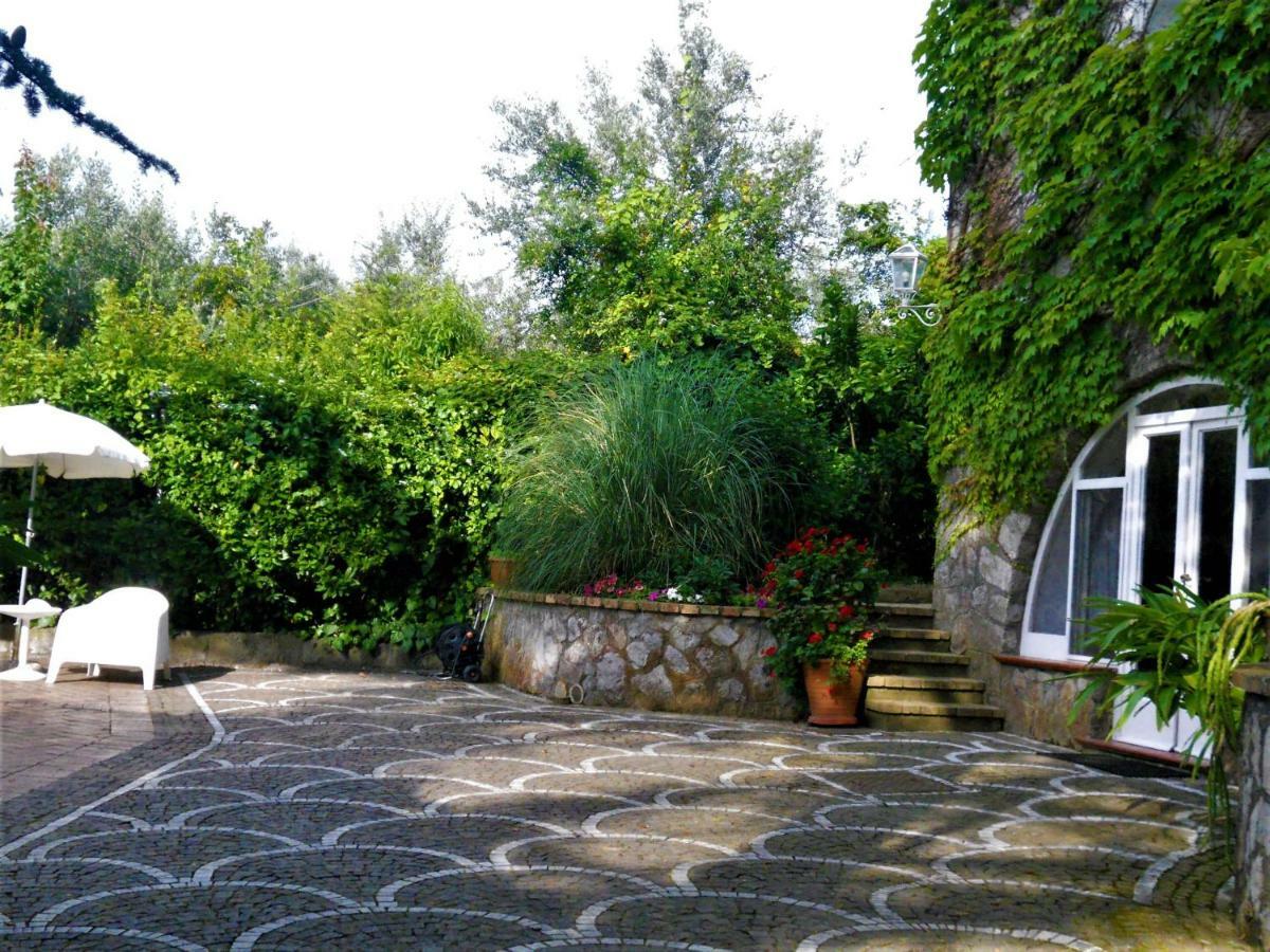 Villa Le Olivine Sorrento Kültér fotó