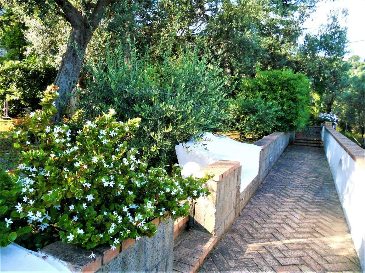 Villa Le Olivine Sorrento Kültér fotó