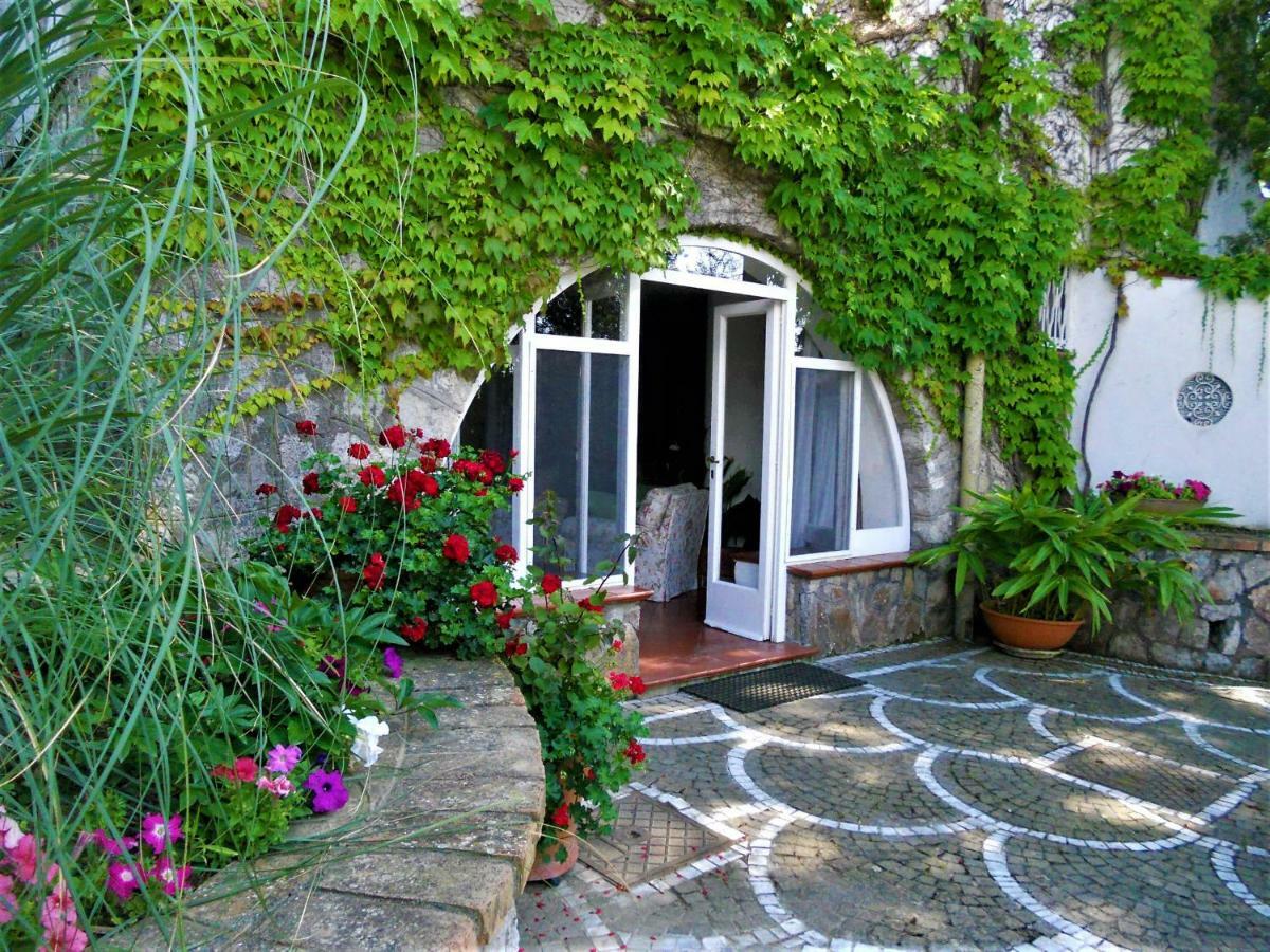 Villa Le Olivine Sorrento Kültér fotó
